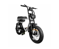 EB2 | Elektrische Fatbike | Zilver | 250W