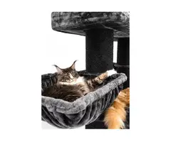 Krabpaal Siberian 200 – Pepper – 15 en 20 cm stam – XXL – meerdere katten