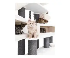 Krabpaal Alley 200 – Off White – 15 cm stam – XXL – meerdere katten