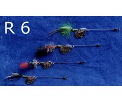 Forel Ruisvoorn Baarsspinners met vlieg